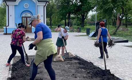 Троянди миру. У парку "Ювілейному" у Кураховому висадили квіти