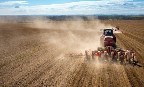 На Хмельниччині посівна кампанія виконана на 83%: які культури в пріоритеті