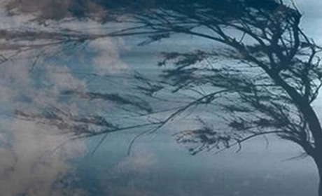 Буревій пронісся Чернігівщиною