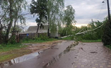 Подробиці негоди , яка пронеслась Шосткинщиною ввечері 12 травня