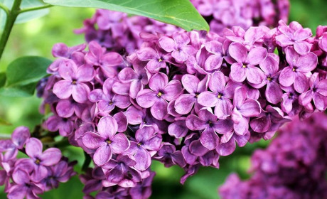 Погода у Старокостянтинові на 16-22 травня: очікується короткочасне похолодання