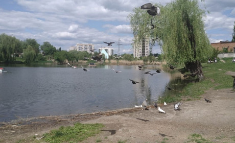 Первомайців запрошують долучитись до толоки на фрегатівському ставку