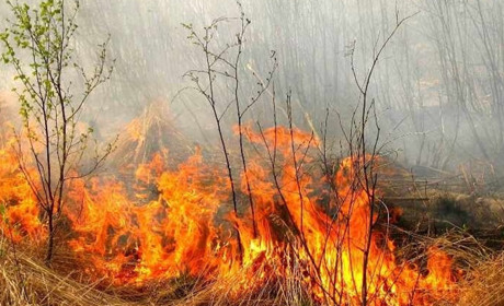 За підпал – аж до довічного ув'язнення. У Корюківському районі нагадали про відповідальність
