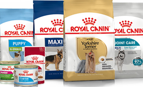 Чому корм для собак royal canin вважають найкращим?