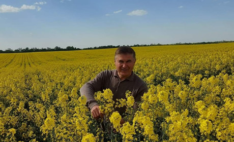 Біодизель і мед забезпечить ріпак з "Геркулесу"