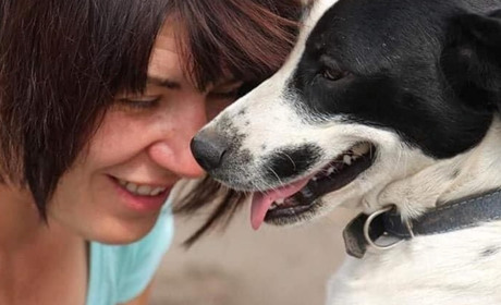 "Доглядаю понад сотню тварин". Історія добропільчанки, яка у війну рятує собак та котів