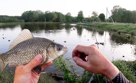 Платити чи ні за задоволення порибалити? Роз'яснення фахівця