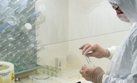 Мавпяча віспа: чи варто боятися нового вірусу і чи пошириться він Україною. Розповіли у МОЗ