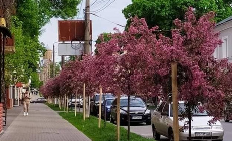 Чернігівців запрошують до обговорення щодо переіменування вулиць міста
