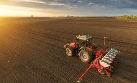 На Полтавщині завершили посівну кампанію: чого та скільки посадили