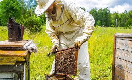 З окупованої Луганщини в Данію: продовжити життя та побудувати новий бізнес. Історія сильної жінки