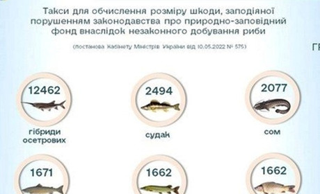 Незаконно порибалити на території об’єктів природно-заповідного фонду стало дуже дорого