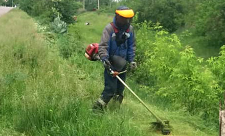 На Струнківці золотонісці добре запам’ятали місце з табличкою для сміття