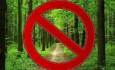 На Бориспільщині закриють дороги до лісу