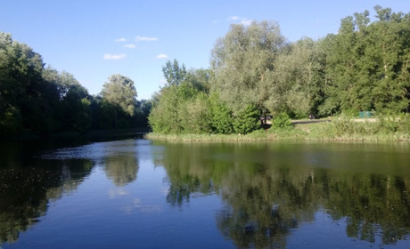 Книжка, річка та село: перспективи відпочинку гадяцьких дітей