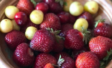 У Троїцькому найдорожча полуниця по Луганській області і не тільки