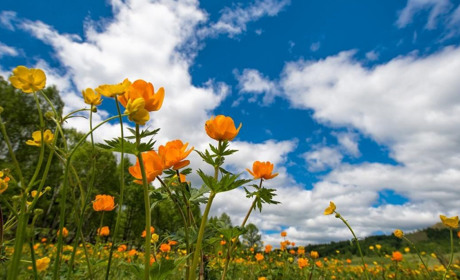 Погода в Кагарлику та Ржищеві на тиждень - з 13 по 19 червня