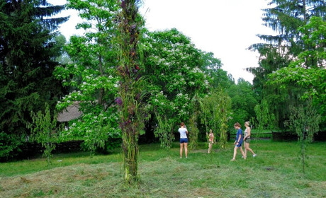 У Помоклях на Переяславщині поставили 20-метрову віху