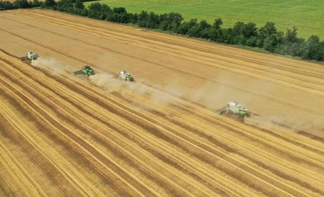 Аграрії Одещини відкрили сезон жниварства в Україні