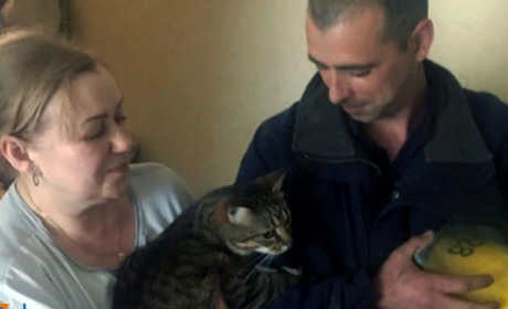 У Нікополі надзвичайники врятували кота, який сидів на дашку балкона: подробиці