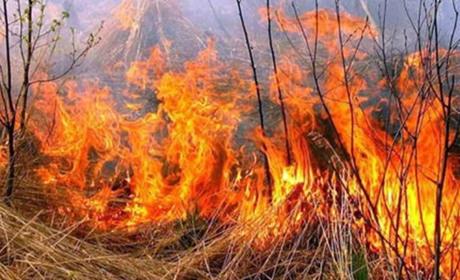 У селі Стрітівка, що у Ржищівській громаді, від вогню загинула жінка