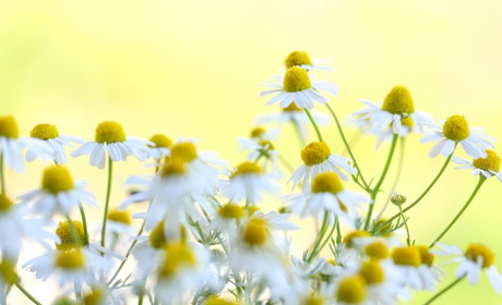 Погода в Старокостянтинові на 13-19 червня: перепочинемо від спеки