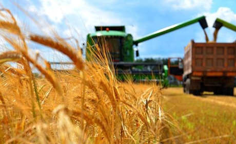 Російські військові змушують аргаріїв Херсонщини 70% врожаю здавати в Крим