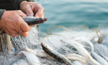 Збитки на понад мільйон гривень: на Полтавщині затримали рибалок-браконьєрів