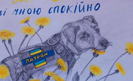 Робота песика Патрона: розмінування, результати конкурсу малюнків і зустріч з чернігівськими дітьми