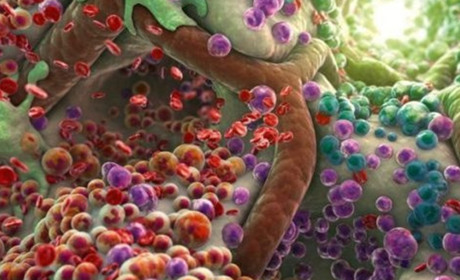 В Одеській області фіксують приріст кишкових інфекцій. З чим це пов'язано, і яка ситуація з холерою