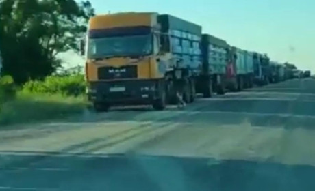 Окупанти продовжують вивозити зерно з Бердянська до Криму