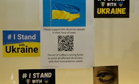 Мовний бар'єр, робота та житло. З якими проблемами зіштовхуються українці в Ірландії?