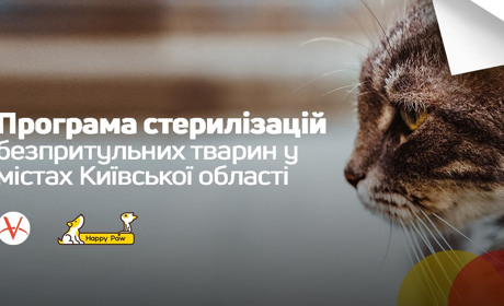 Фонд Happy Paw запустив програму стерилізації безпритульних тварин у містах Київської області