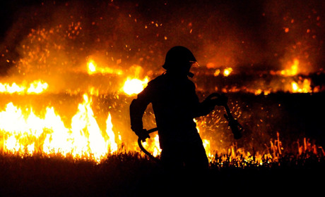 Правила поведінки під час пожежі в лісах та на торфовищах