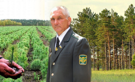 ​​​​​​​Переяславський лісівник Петро Косюхно посадив понад 300 тисяч дерев за своє життя