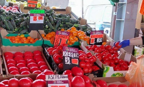 Чеченці везуть мелітопольську черешню на продаж в Білорусь