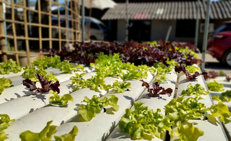 Держава фінансуватиме бізнес: в Укарїні стартував проєкт єРобота