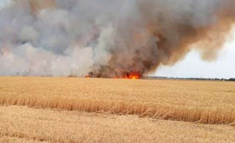 Військовослужбовець ЗСУ з Володимирця показав кадри, як окупанти палять український врожай