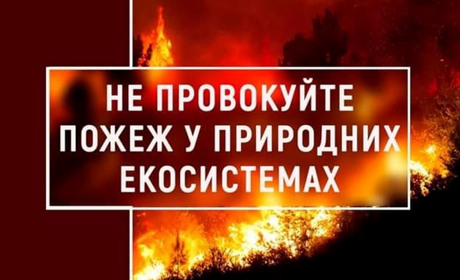 За перше півріччя 2022 року рятувальниками ДСНС Вараського району ліквідовано 73 пожежі