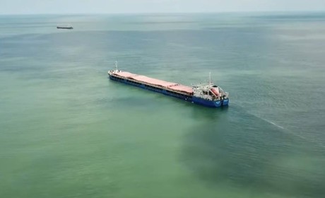 Туреччина відпустила російське судно, що вивозило зерно з окупованого Бердянська