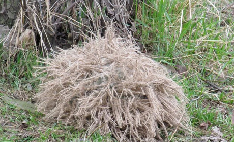 Потрібні лише руки, гачок війльний час: гадячан запрошують плести маскувальні накидки на шоломи