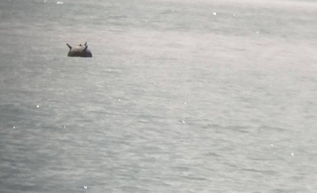 У Дністровському лимані на Одещині дрейфує морська міна - ВІДЕО