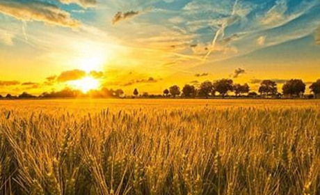 Щоденник війни. Тиждень тринадцятий. Україна буде вільною, бо це є вибір українського народу