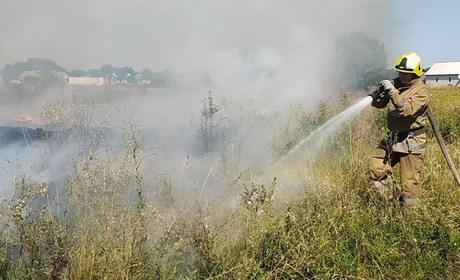 На Полтавщині оштрафували паліїв сухостою на понад 14 тисяч гривень