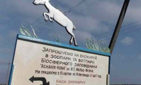 Росіяни захопили інститут тваринництва «Асканія-Нова» на Херсонщині