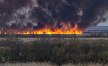 Окупанти не дають гасити пожежі на полях, знищують склади із зерном і техніку поблизу Генічеську