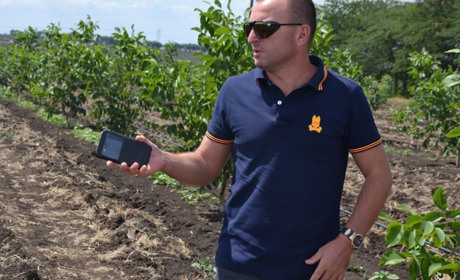 "Отримав на горіхи": підприємець з Одещини виграв 2,5 млн гривень на вирощування фундука