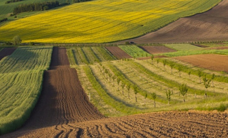 На Дніпропетровщині громаді повернули земельні ділянки вартістю близько 1 млрд грн