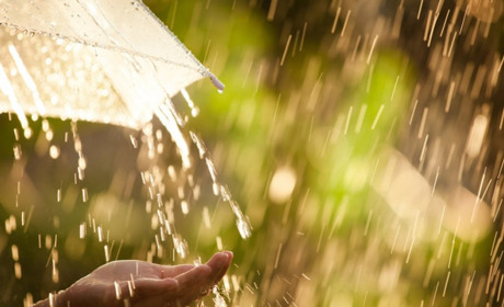 Погода в Кагарлику та Ржищеві на тиждень - з 18 по 24 липня