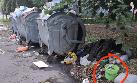 У Жовтих Водах викинули на смітник кошенят: яка їх доля